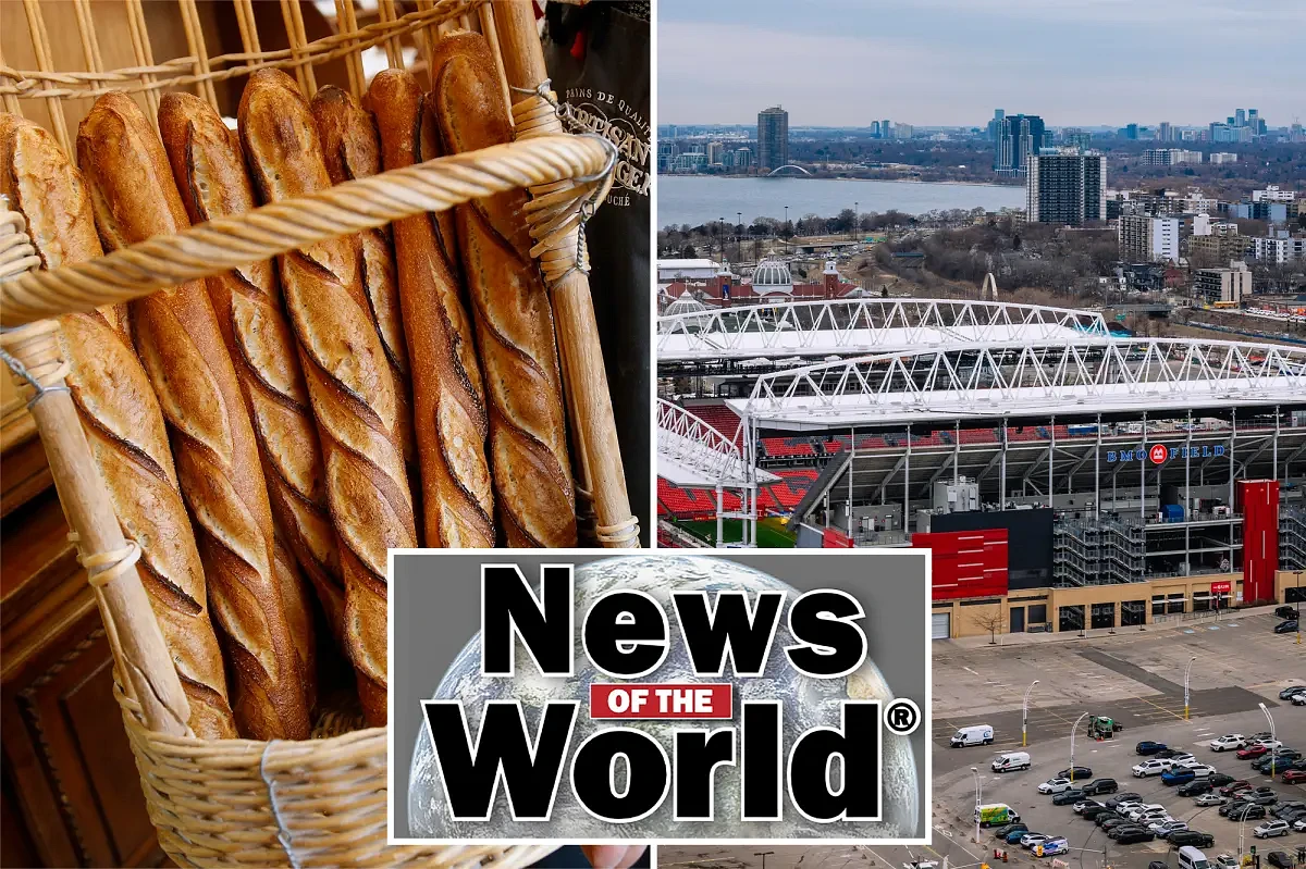 News of the World: What you missed this week internationally