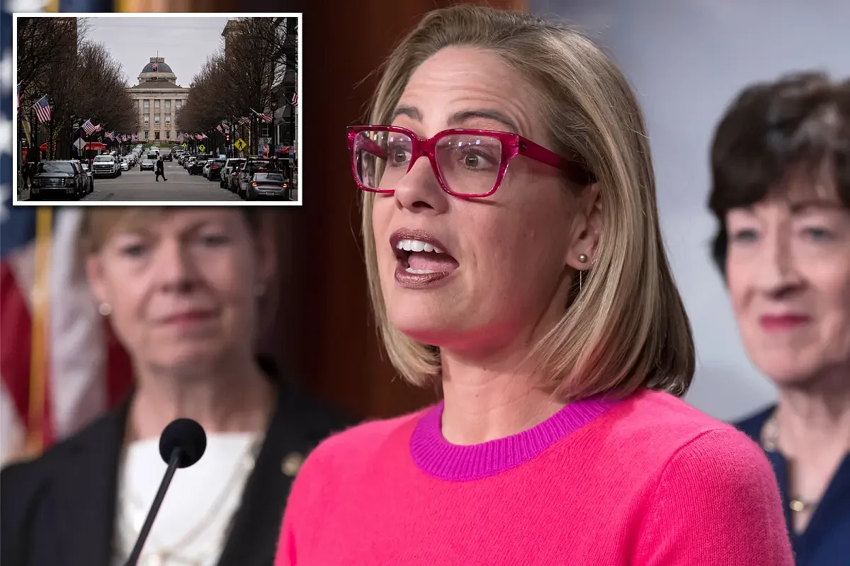 North Carolina judge not buying Kyrsten Sinema's claims of affair with bodyguard under state's 'homewrecker' law