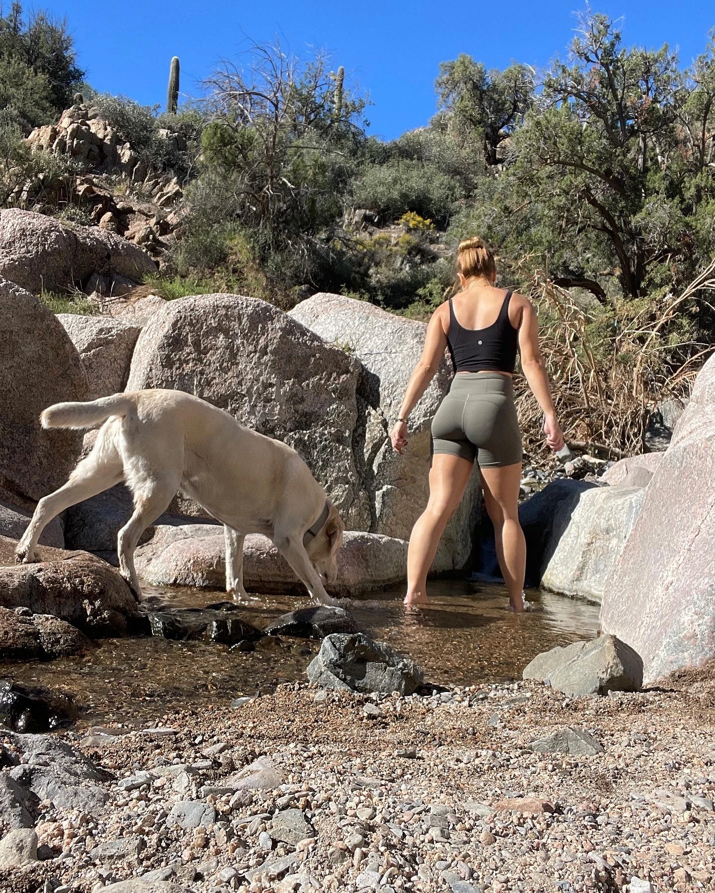 Your Thighness banner