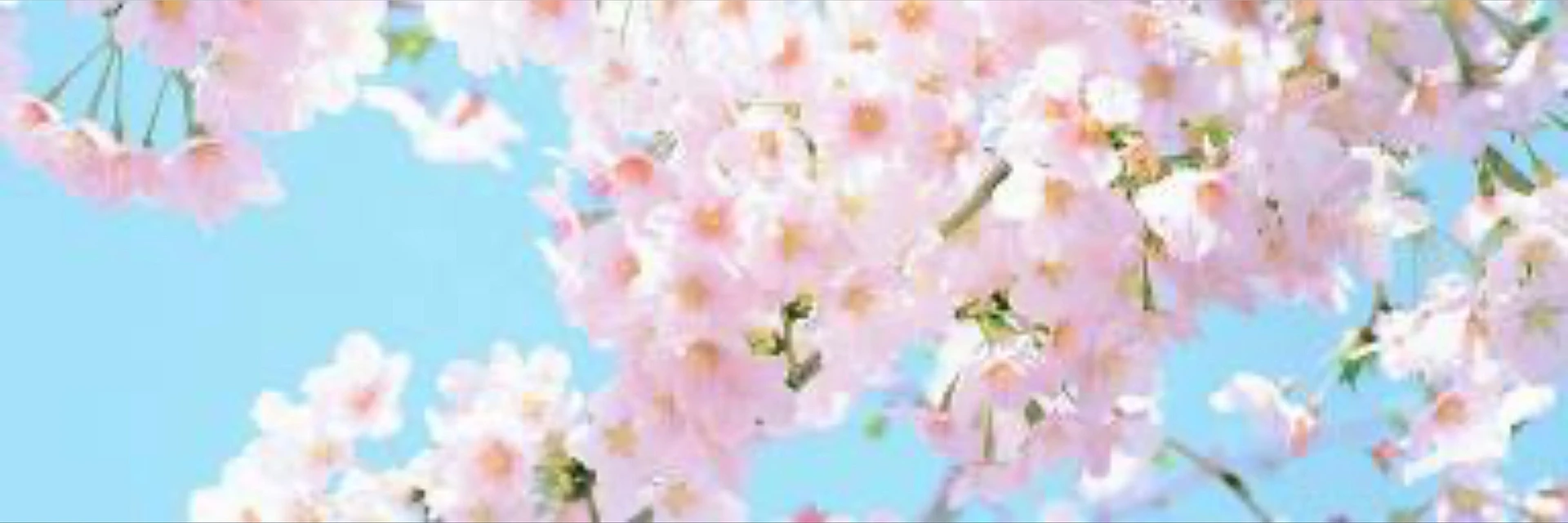 Alyssa 💕💫🌵😸 banner