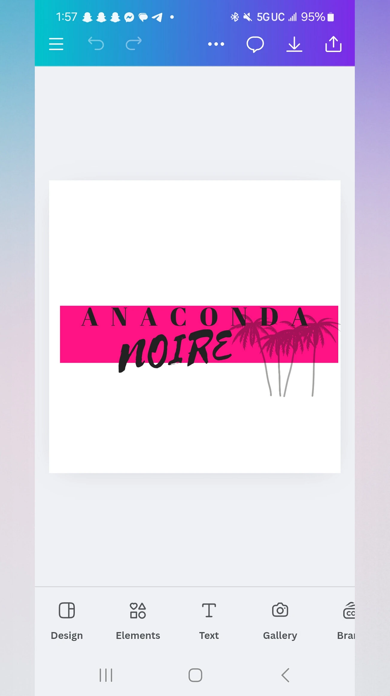 ANACONDA NOIRE banner
