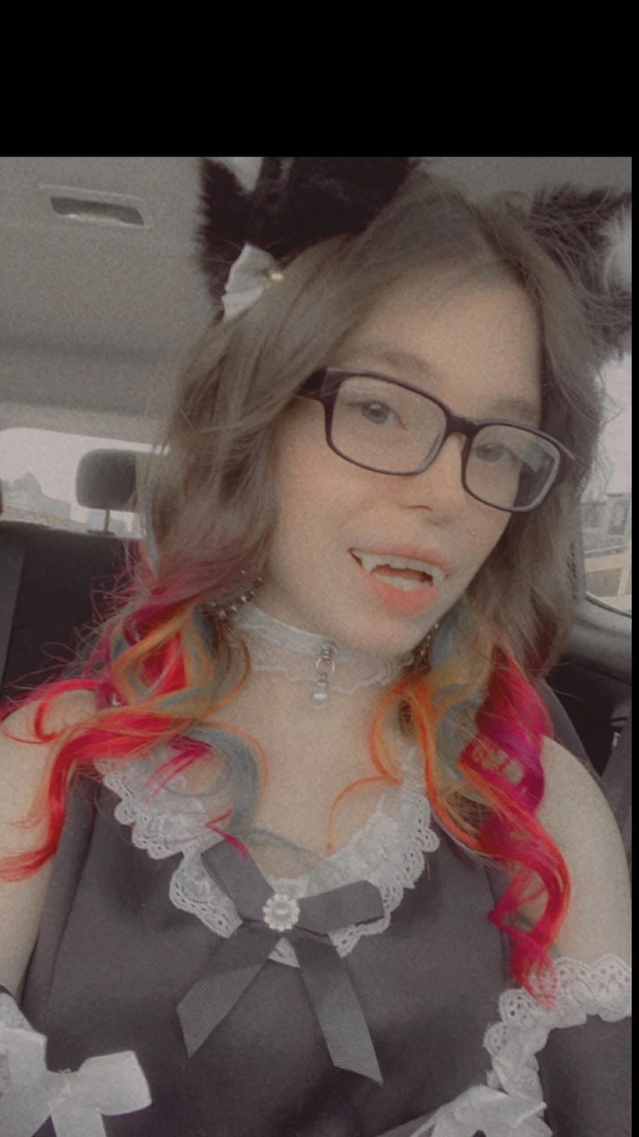 Anna Kitty banner