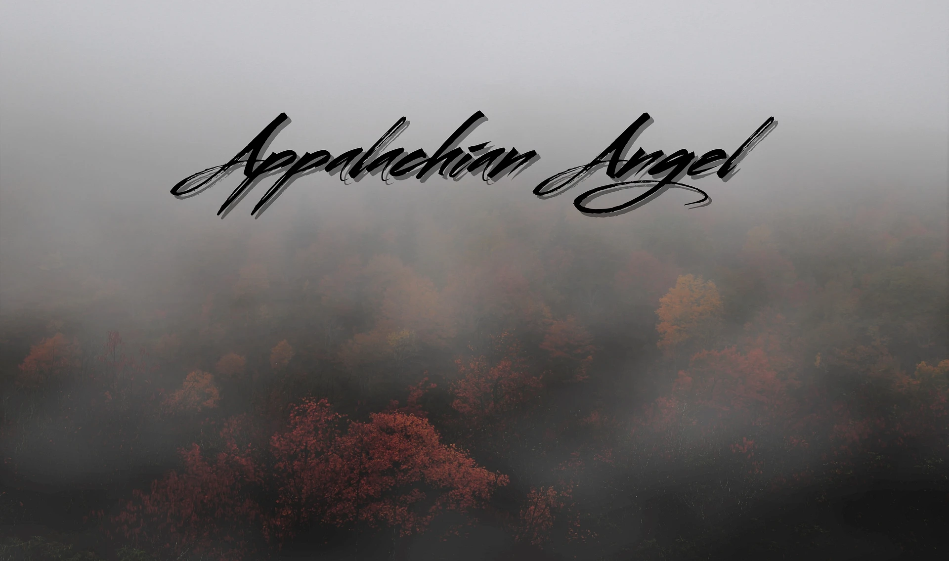 Appalachian Angel banner