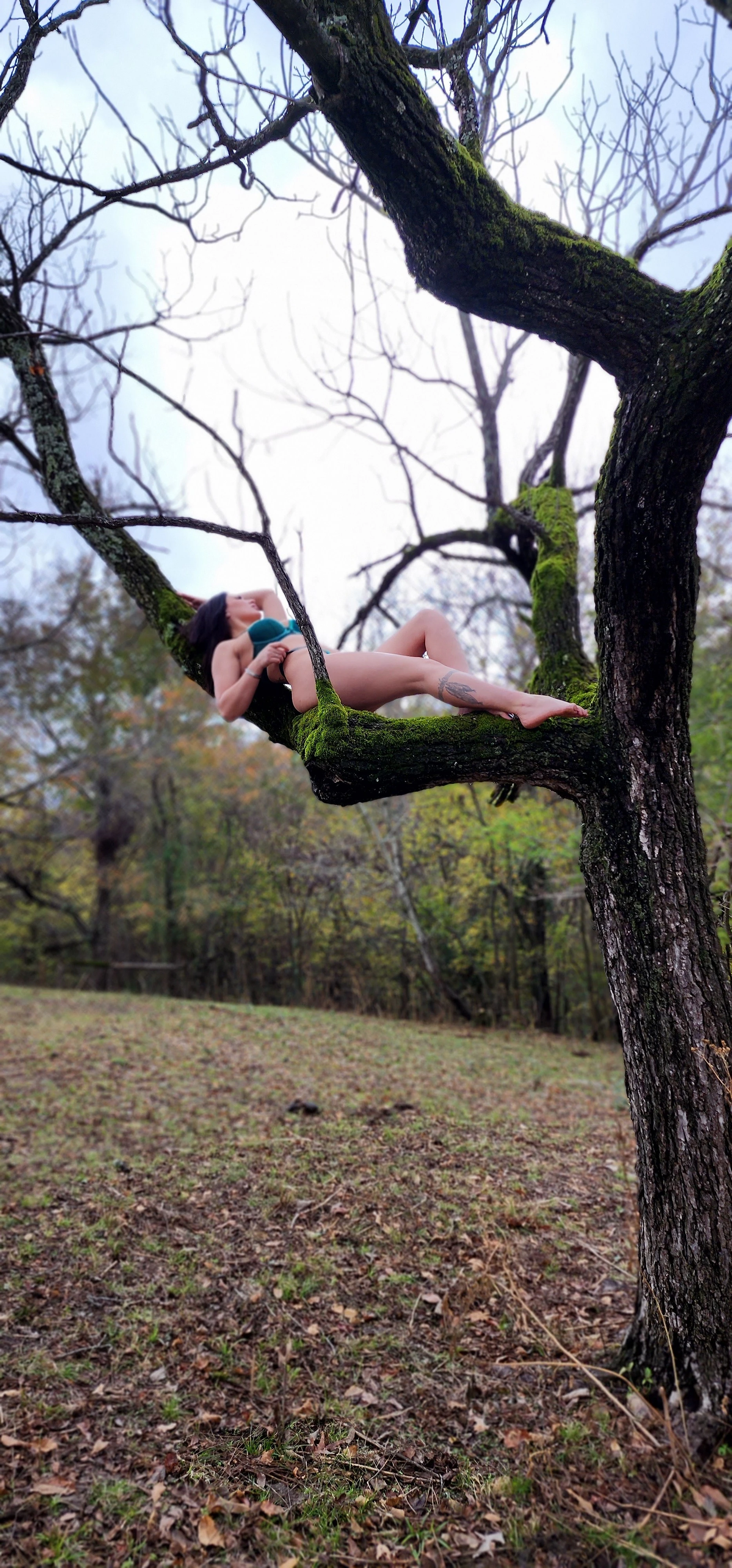 Chelsea Horton banner