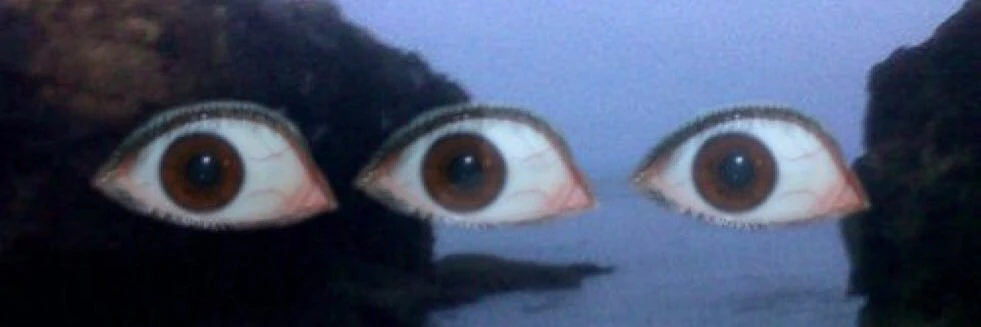 Bailey Jay banner