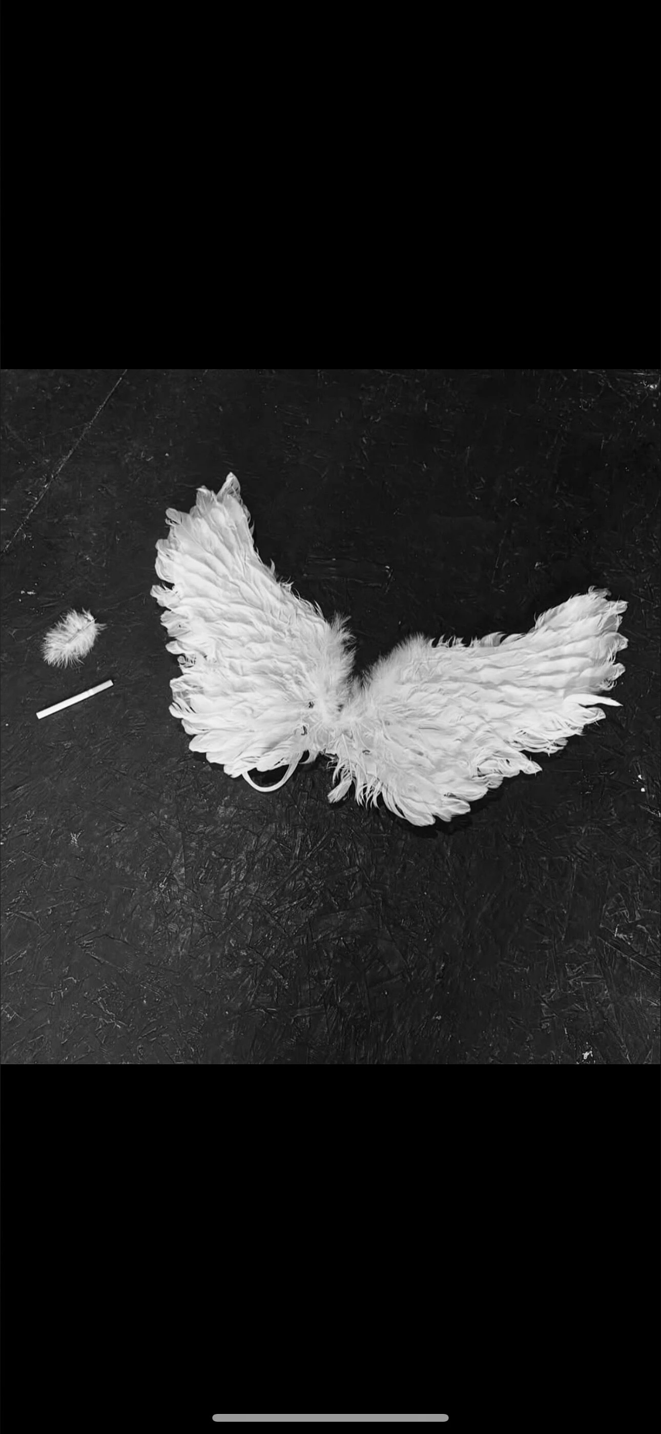 Brittany Furlan Lee banner