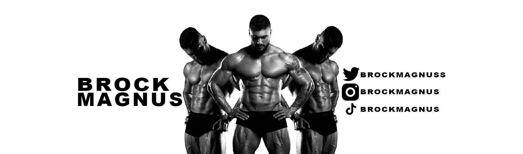 Brock banner