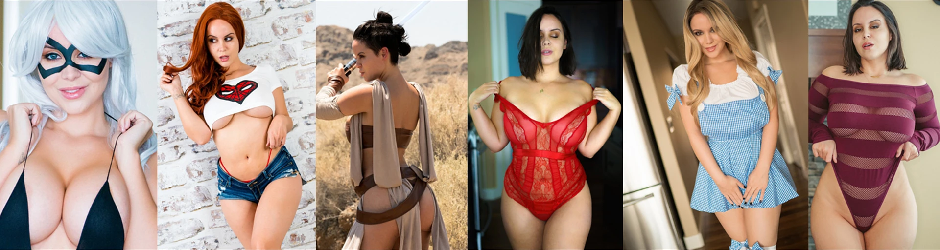 Bryci banner