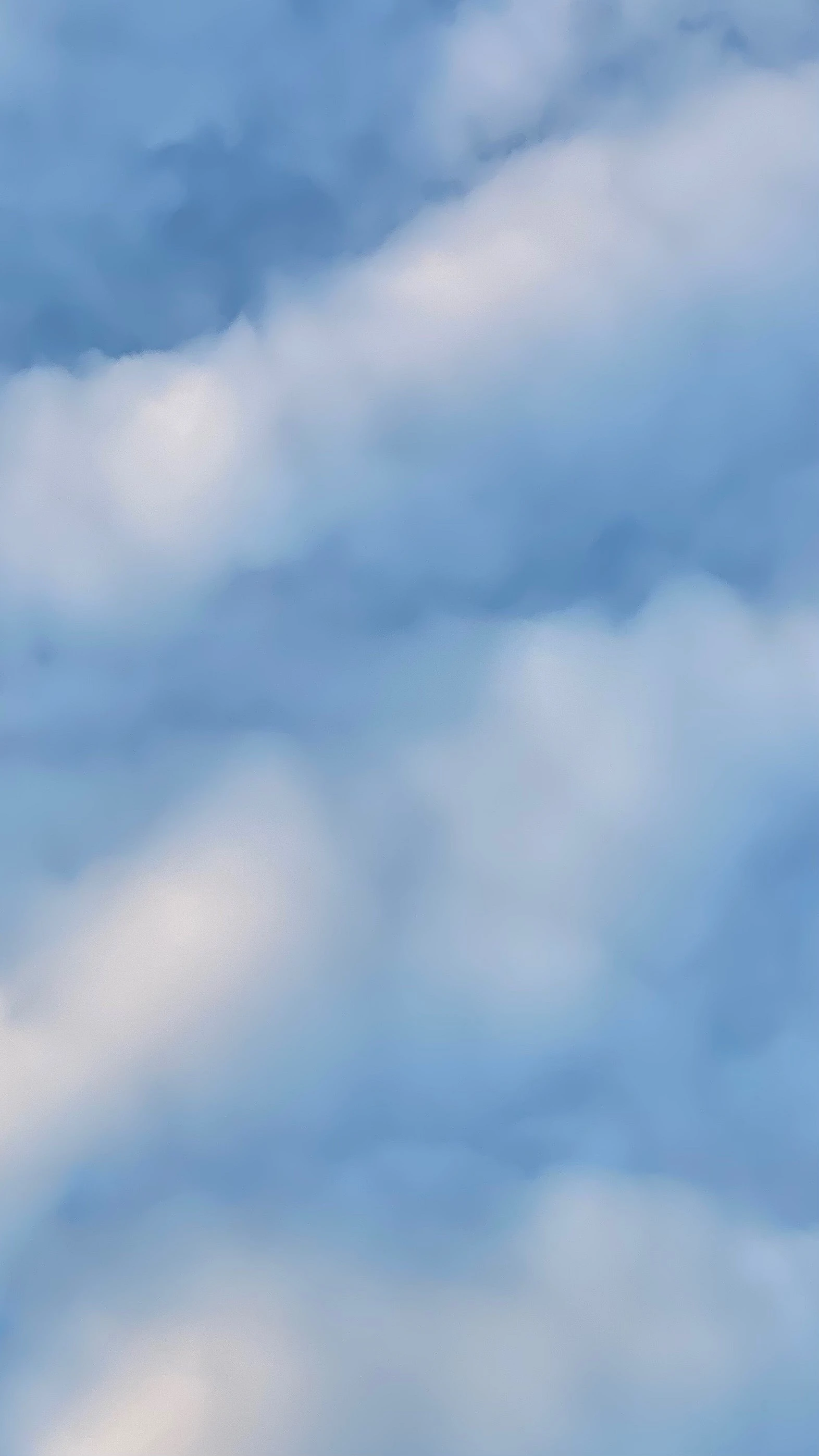 COCONEY banner