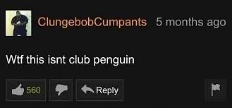 sky•riverss banner