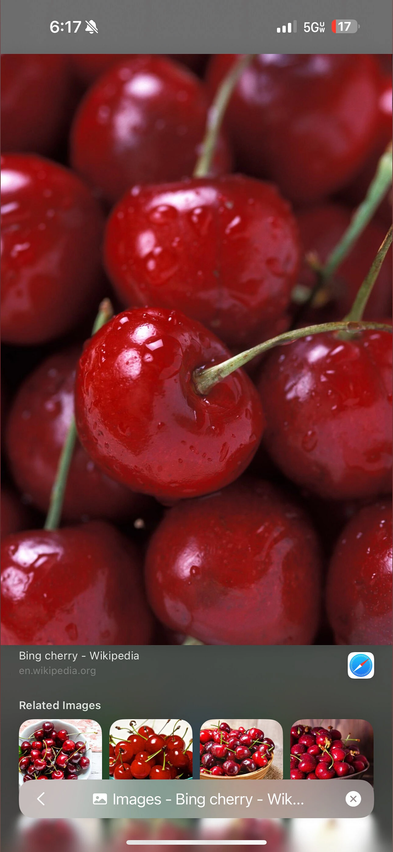 Dezodbaby 🍒 banner