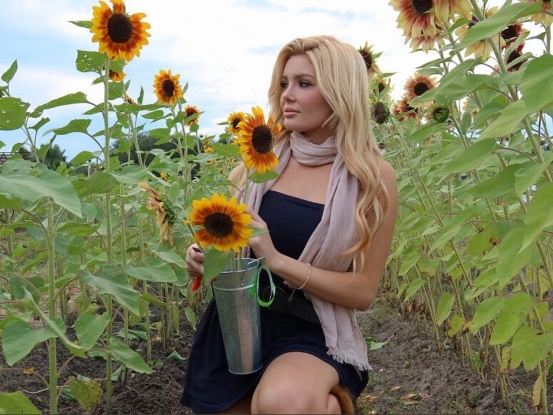 Elaina Vice banner