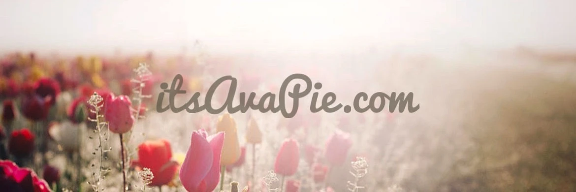 Ava Pie banner