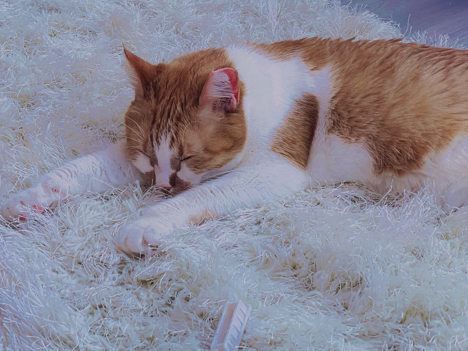 Leana Lovings ♡ banner