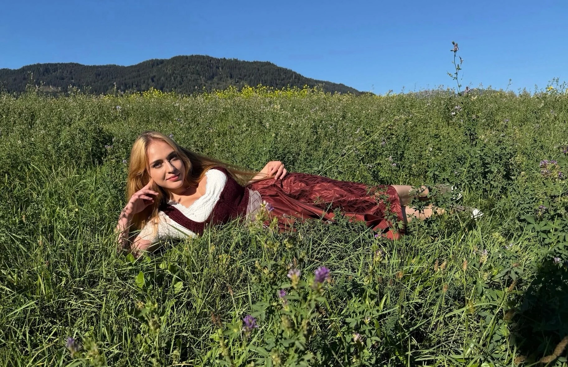 Lilly banner