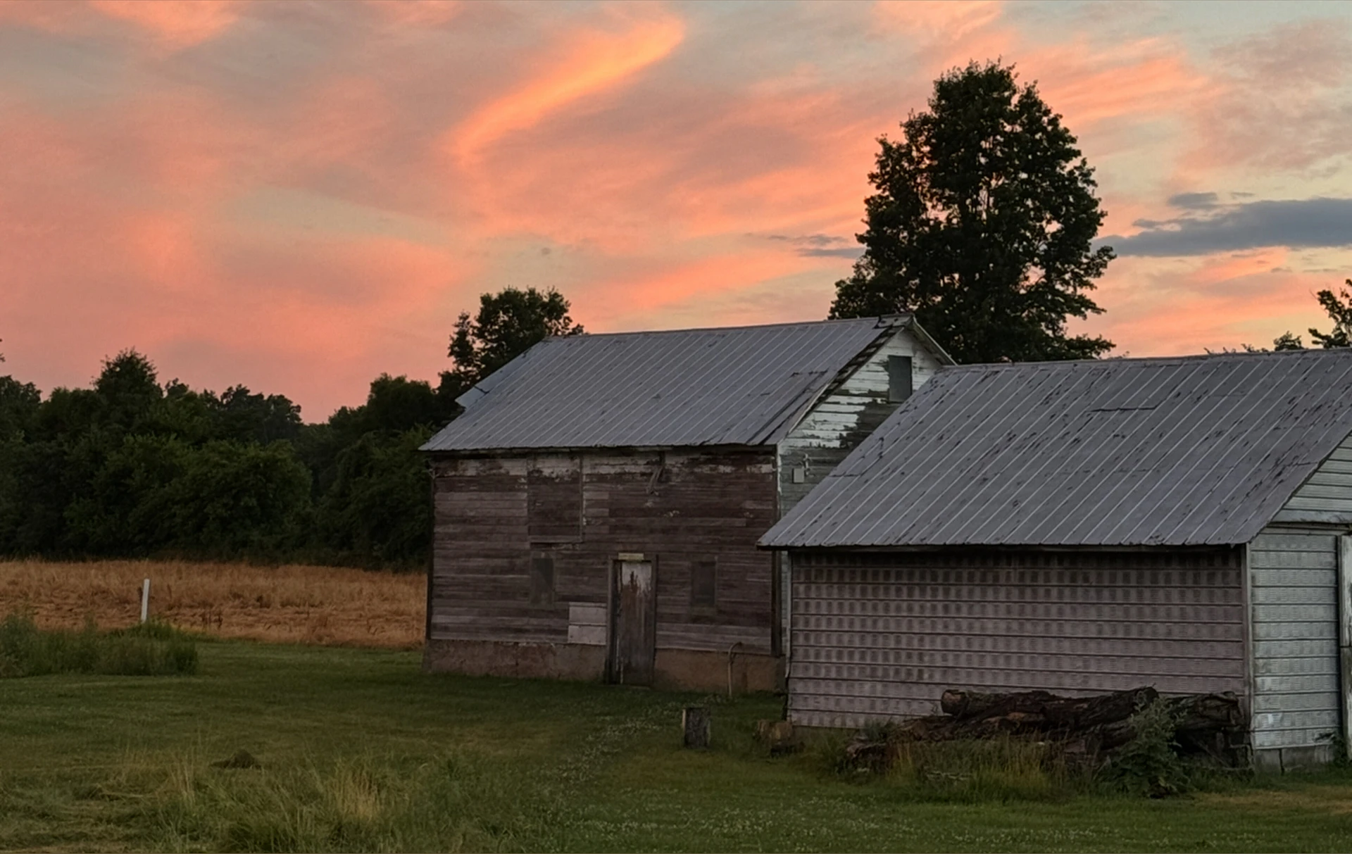 Livinia Roberts banner