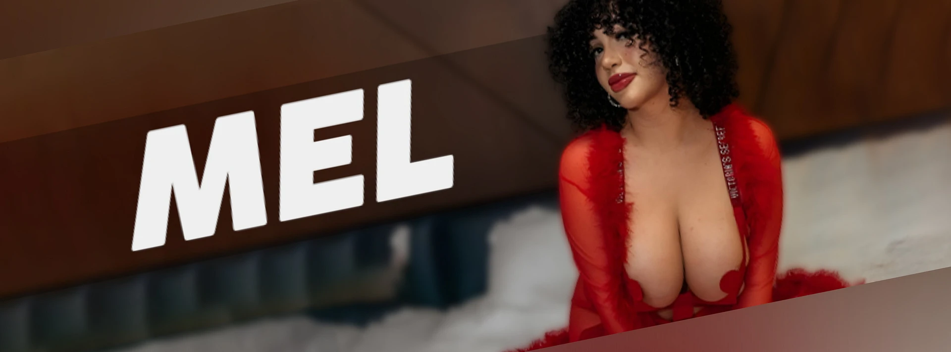 meldadel banner