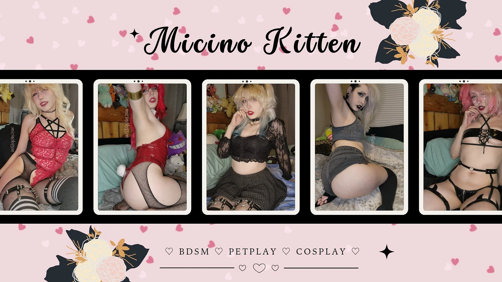Micino Kitten 🖤 banner