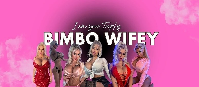 ✧ BIG TITTY BIMBO WIFEY ✧ banner