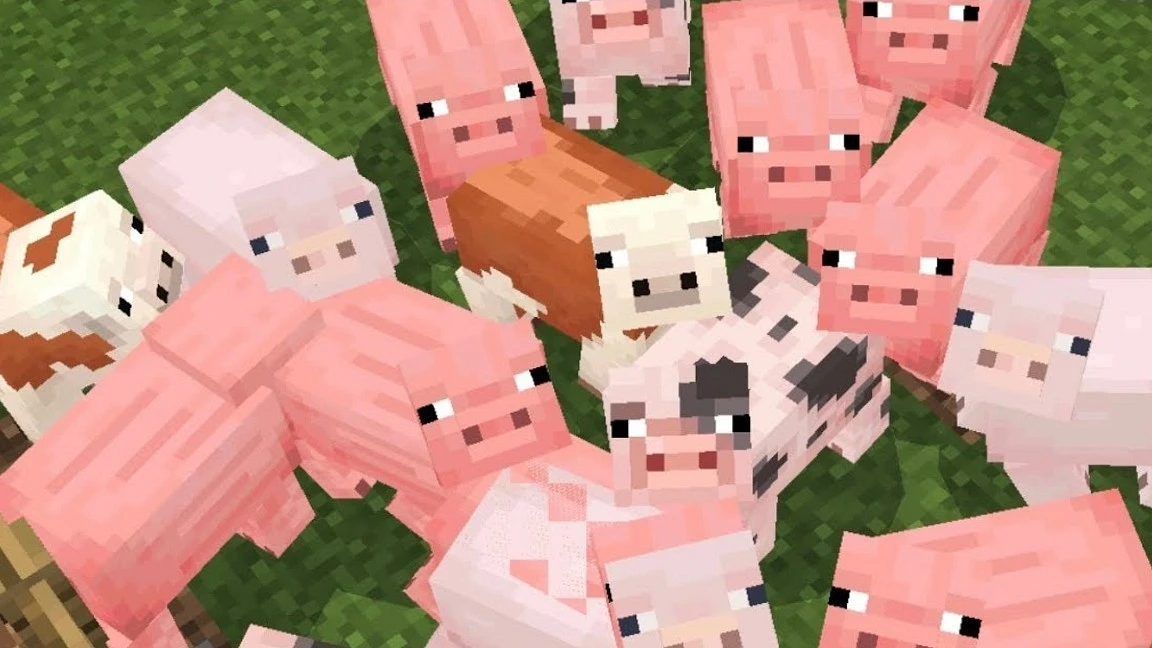 Randa Rice 🍚 banner