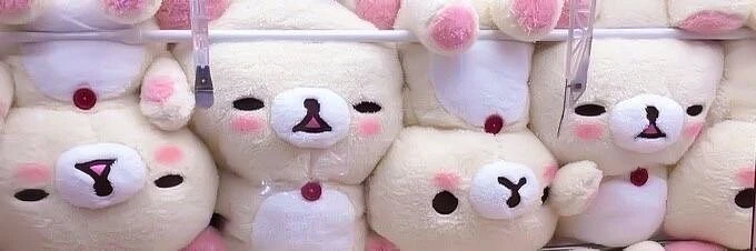 Ryn~ banner
