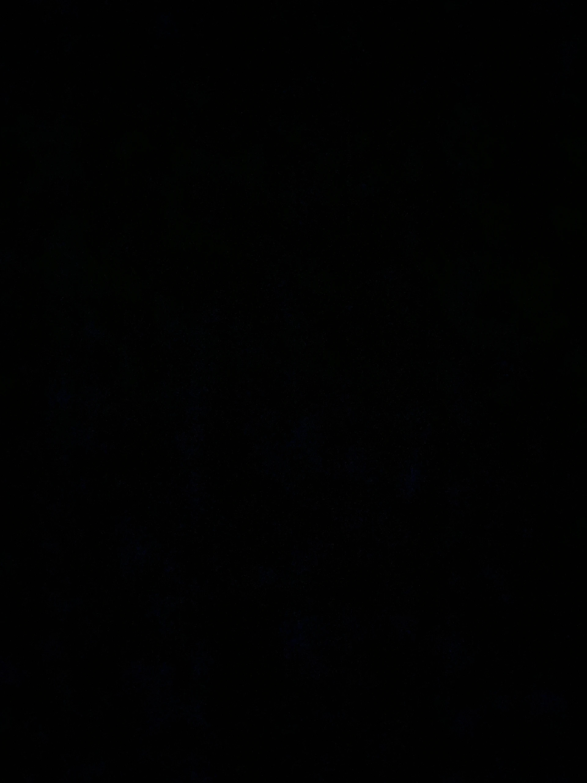 Sabrina Danielle banner