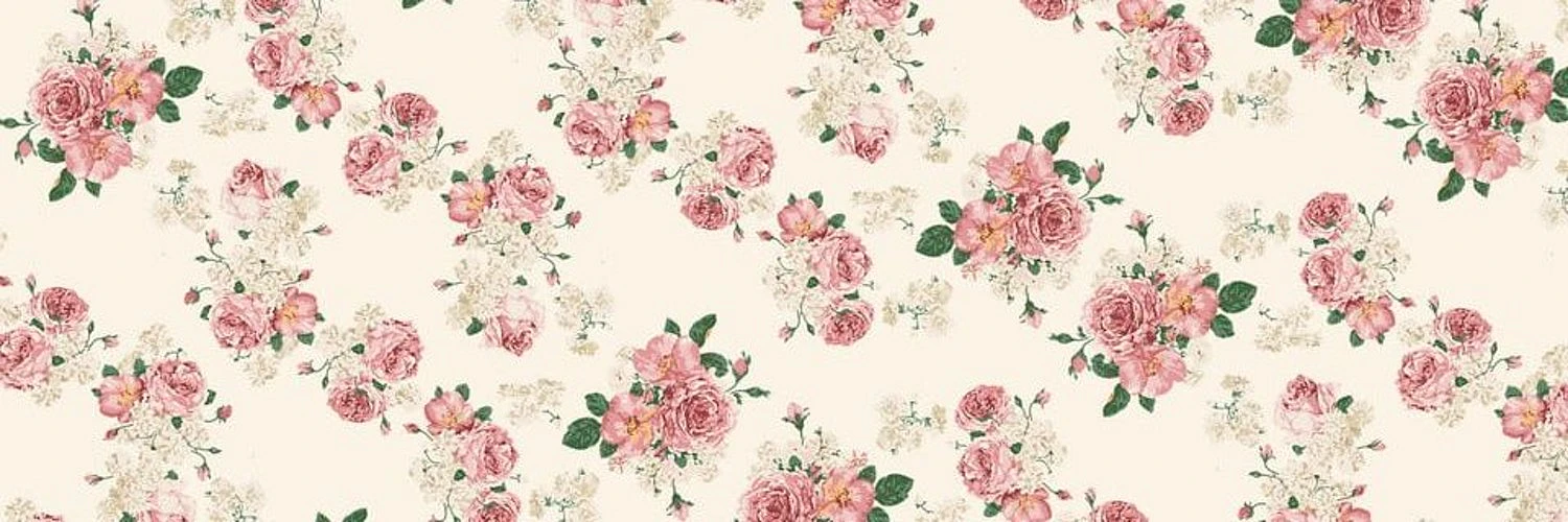 Salma Li banner