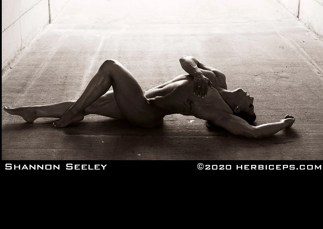 Shannon Seeley banner