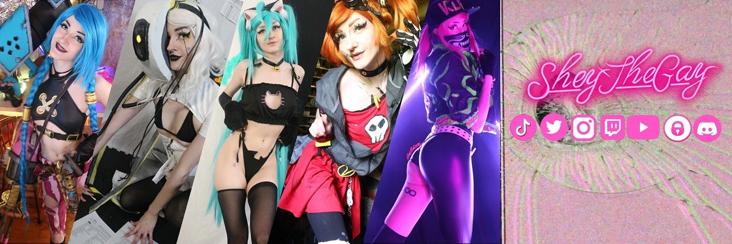 SheyTheGay banner