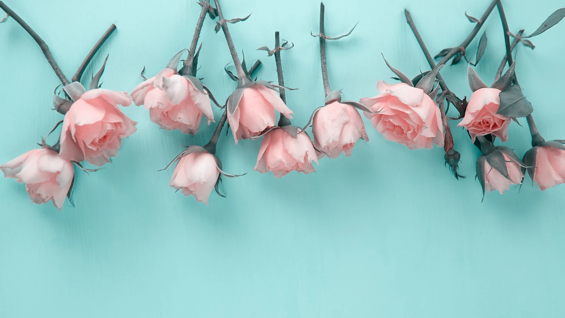 Skyler Lo banner