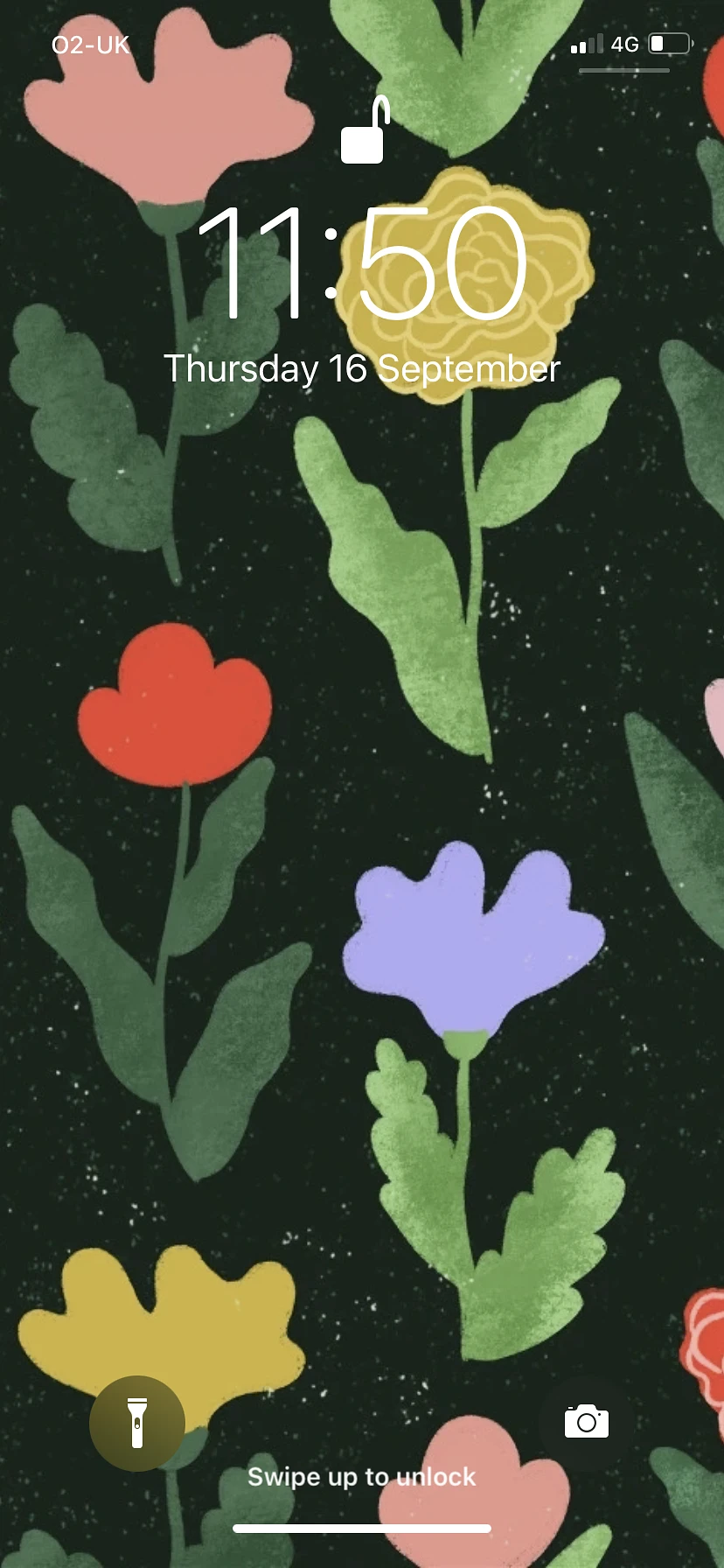 SOFI ~ banner
