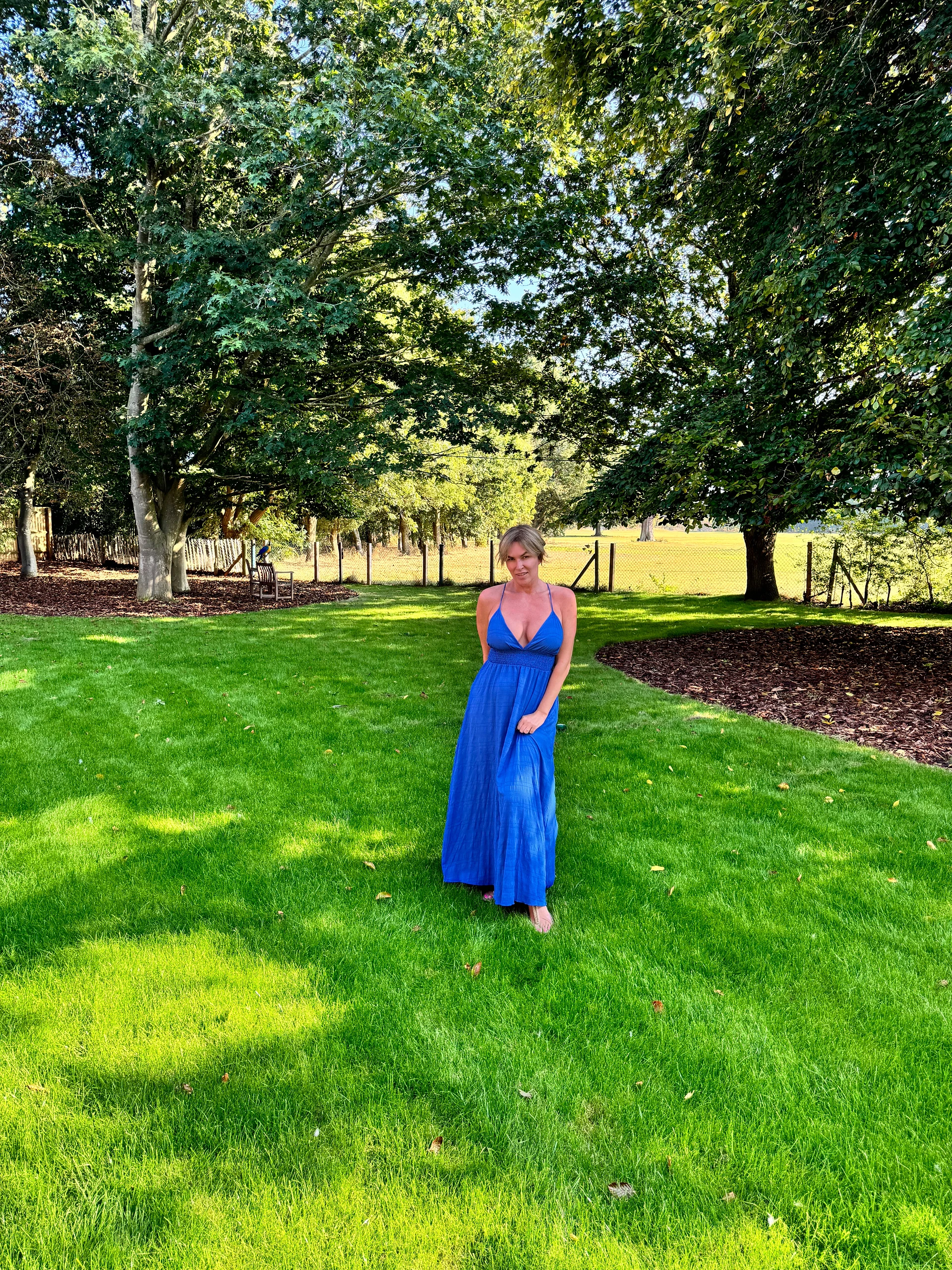 The World of Summer Rose banner