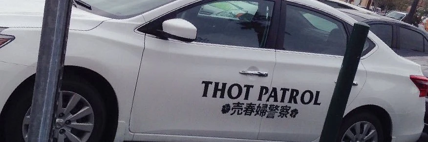 Taylor Allard banner