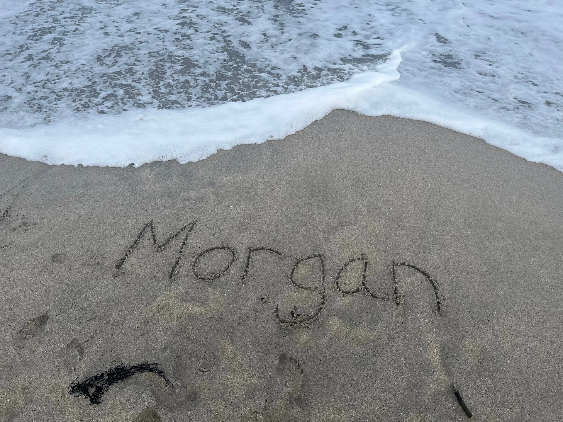 Morgan banner